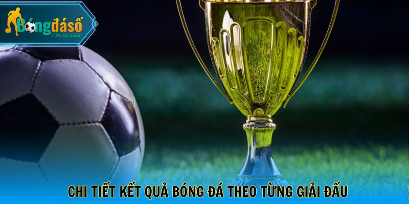 Chi tiết kết quả bóng đá theo từng giải đấu