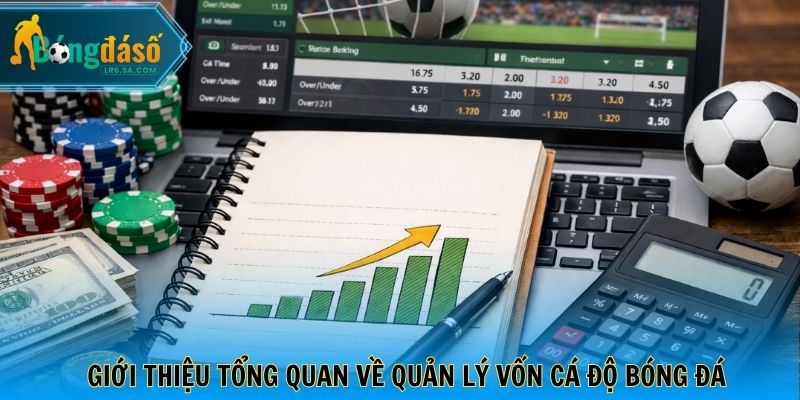 Giới thiệu tổng quan về quản lý vốn cá độ bóng đá