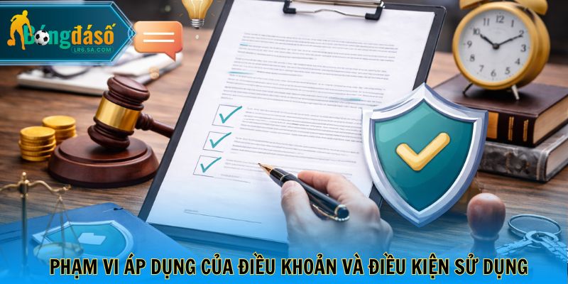 Phạm vi áp dụng của điều khoản và điều kiện sử dụng