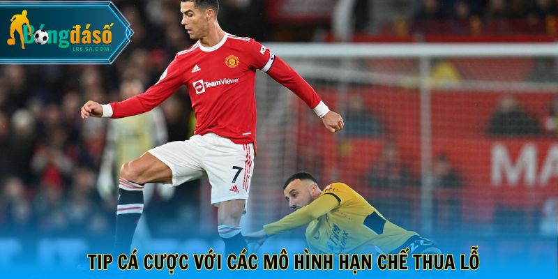 Tip cá cược với các mô hình hạn chế thua lỗ