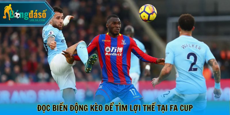 Đọc biến động kèo để tìm lợi thế tại FA Cup