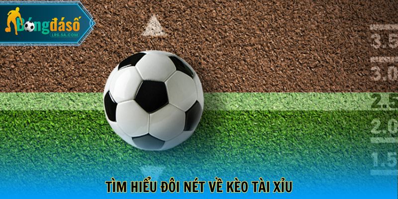 Tìm hiểu đôi nét về kèo tài xỉu